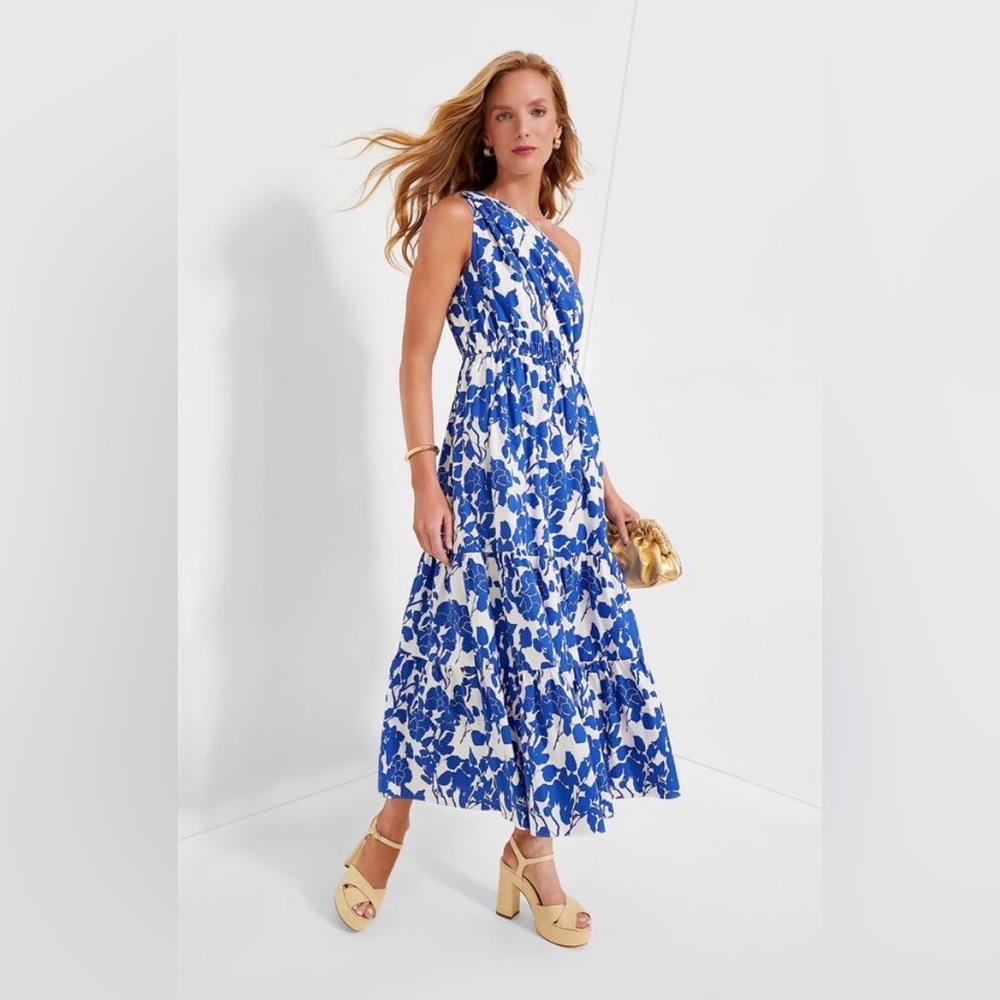 Tuckernuck Blue and White One-Shoulder Floral Maxi Dress - Picture 2 of 9